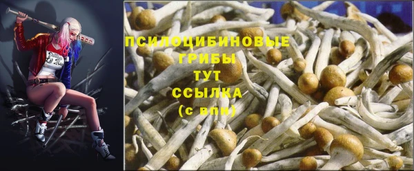 apvp Баксан
