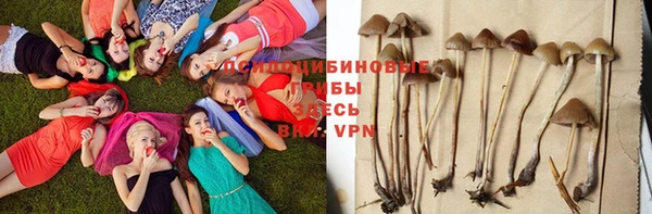 винт Наволоки
