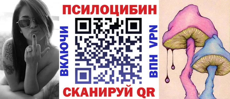 Псилоцибиновые грибы Cubensis  Ноябрьск 